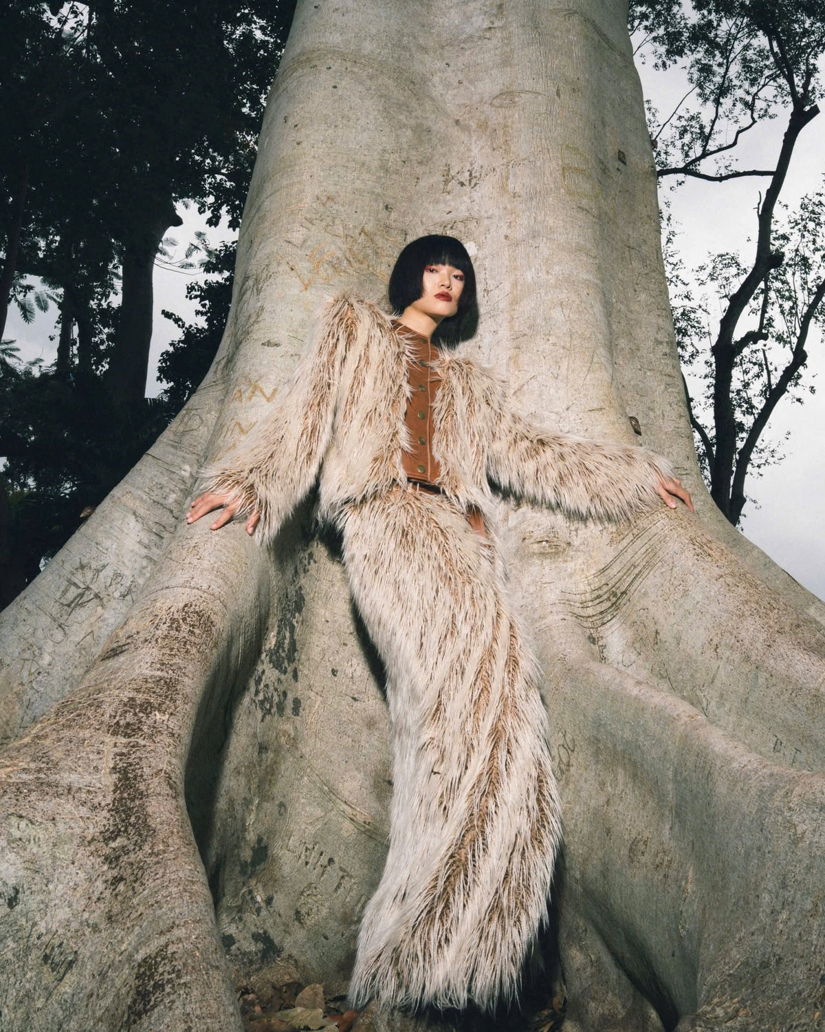 Mái Tranh Feathered Jacket