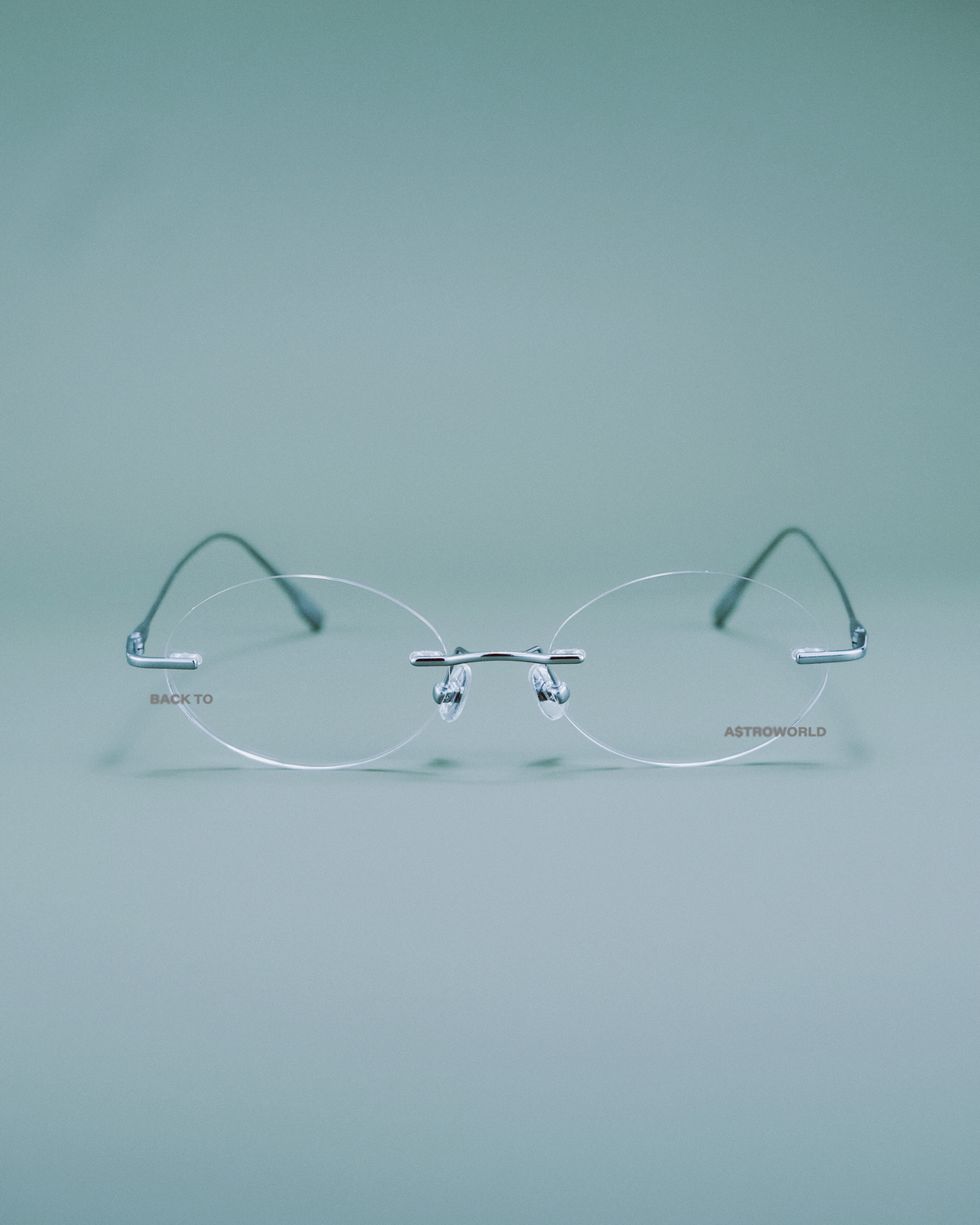 RIMLESS DAISY
