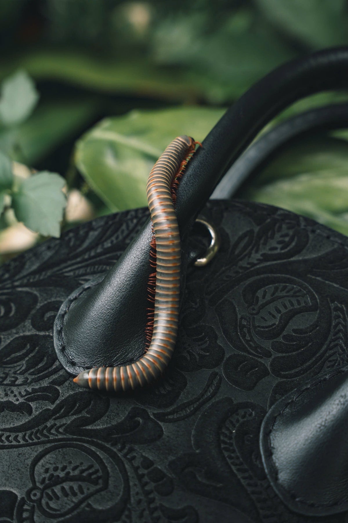 Black Lò Gạch Engraved Leather Bag