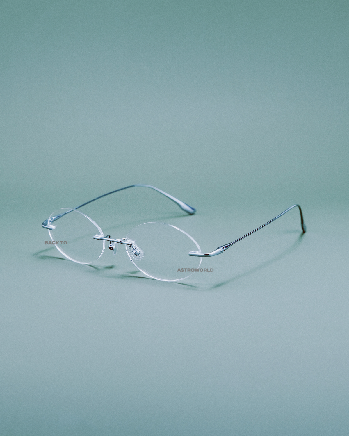 RIMLESS DAISY
