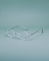 RIMLESS DAISY