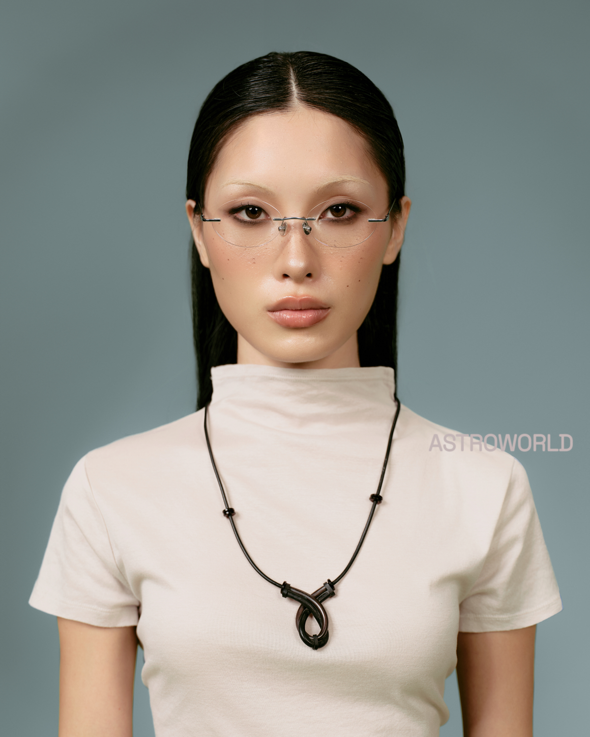 RIMLESS DAISY