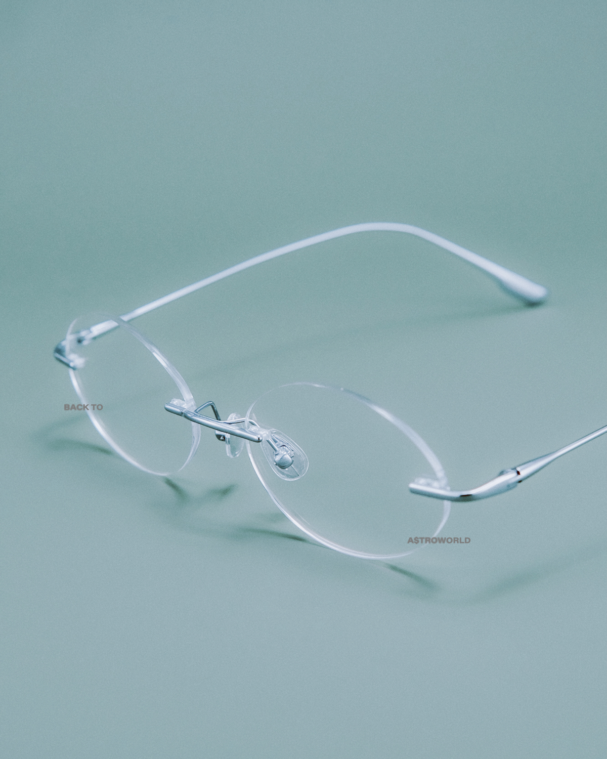 RIMLESS DAISY