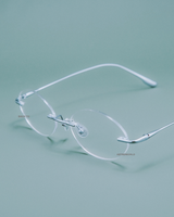 RIMLESS DAISY