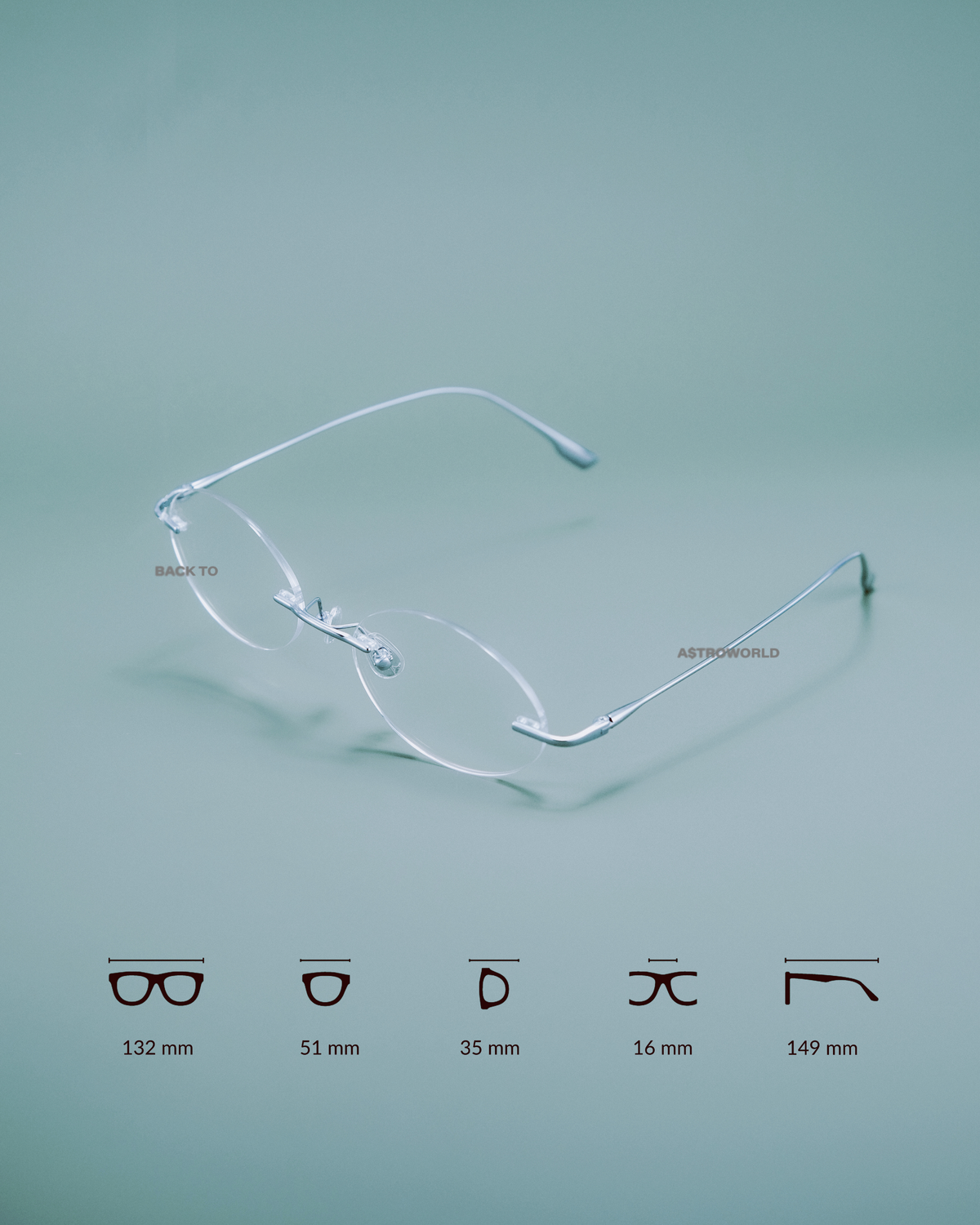 RIMLESS DAISY