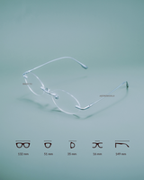 RIMLESS DAISY