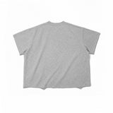 BOXY T-SHIRT/ HEATHER GRAY