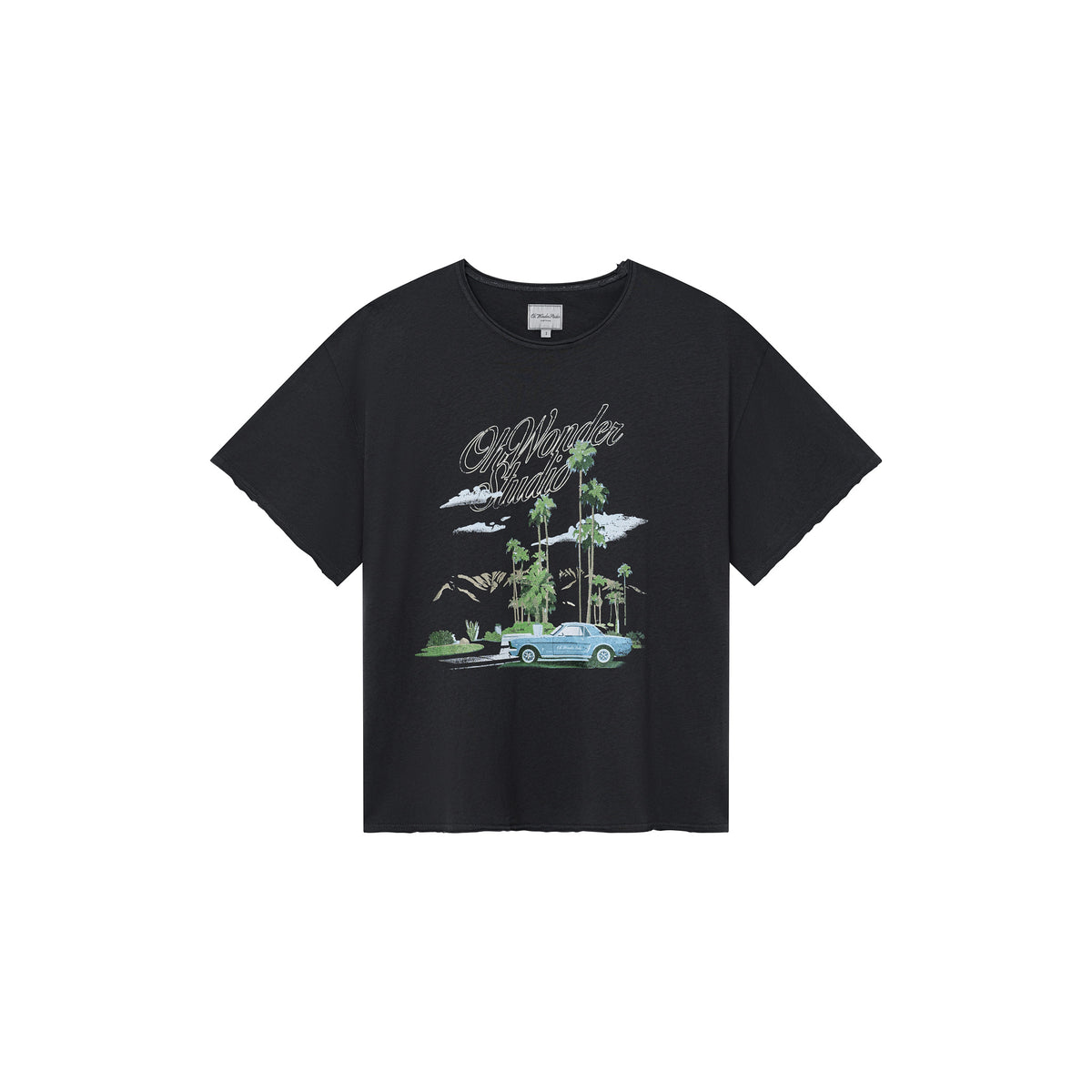 OWST PALM SPRINGS SHORTSLEEVES TEE