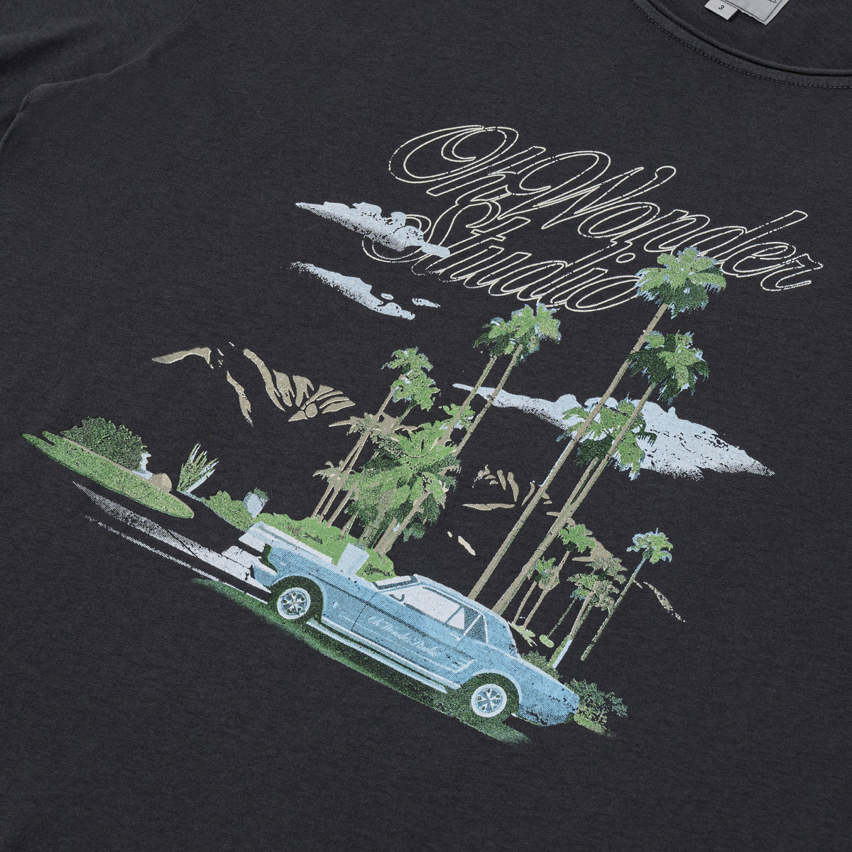 OWST PALM SPRINGS SHORTSLEEVES TEE