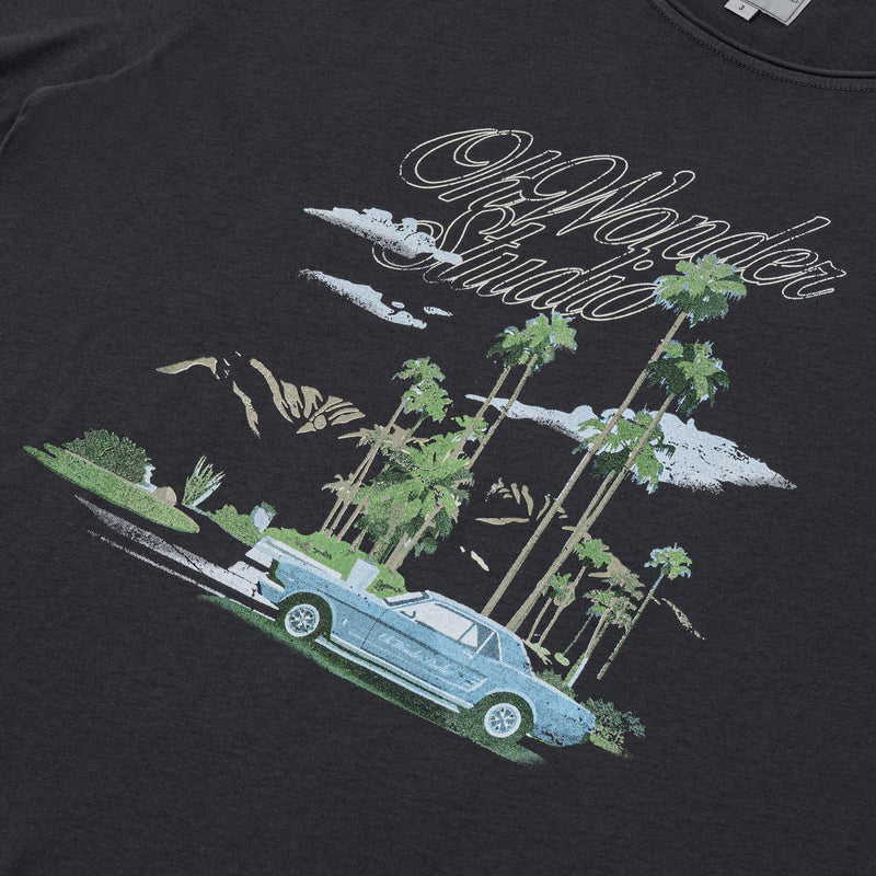 OWST PALM SPRINGS SHORTSLEEVES TEE
