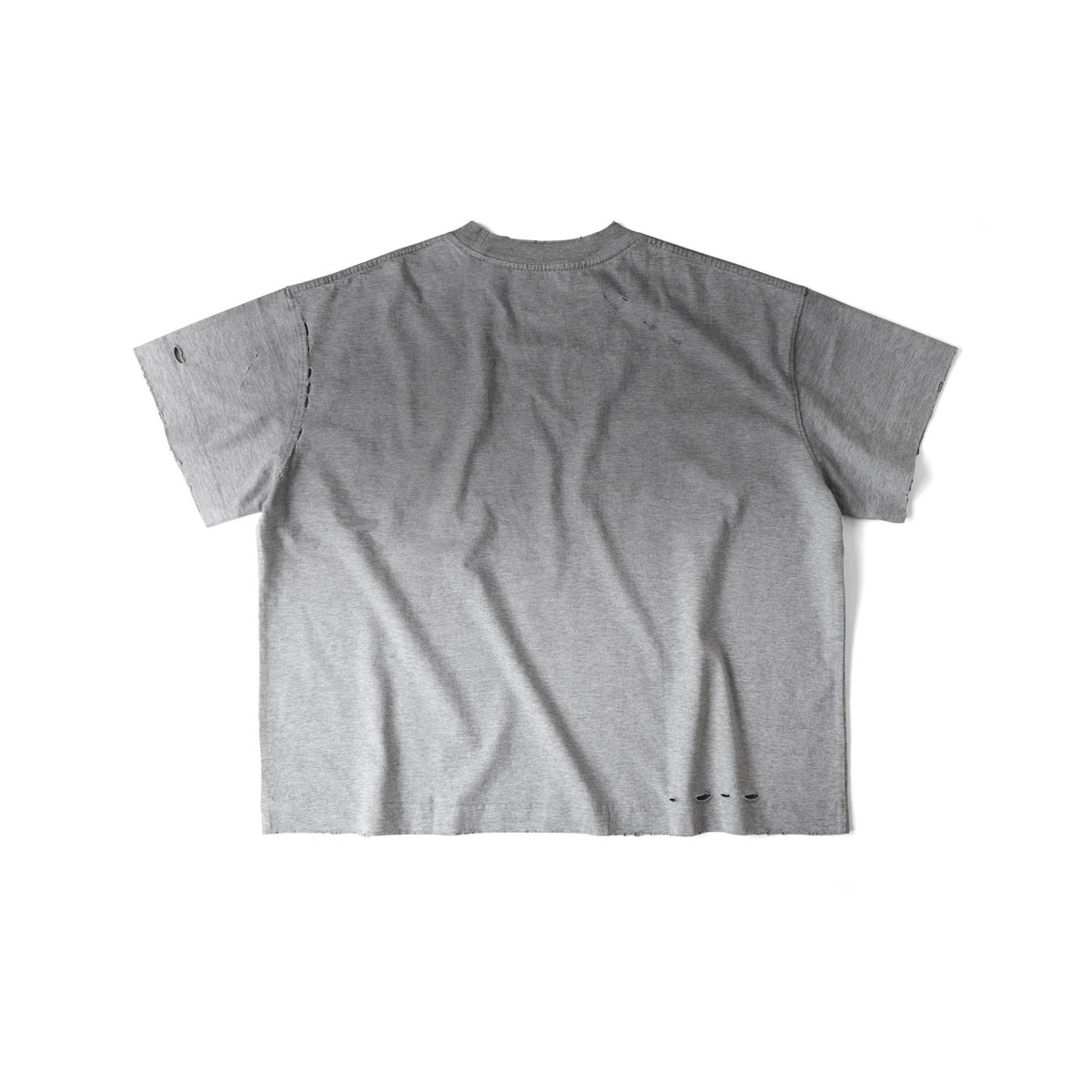 VIOLENCE STUDIES T-SHIRT/ GREY