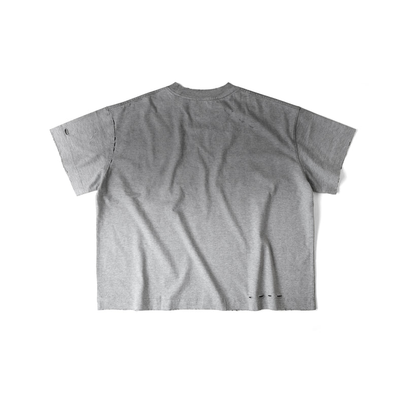 VIOLENCE STUDIES T-SHIRT/ GREY