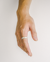 tiny-sanded-ring-jellyfish