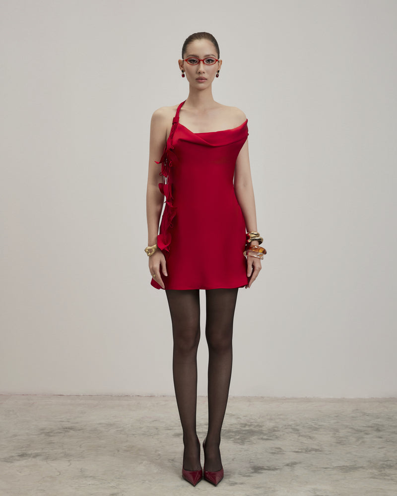 awake-silk-dress-red caostu astoud