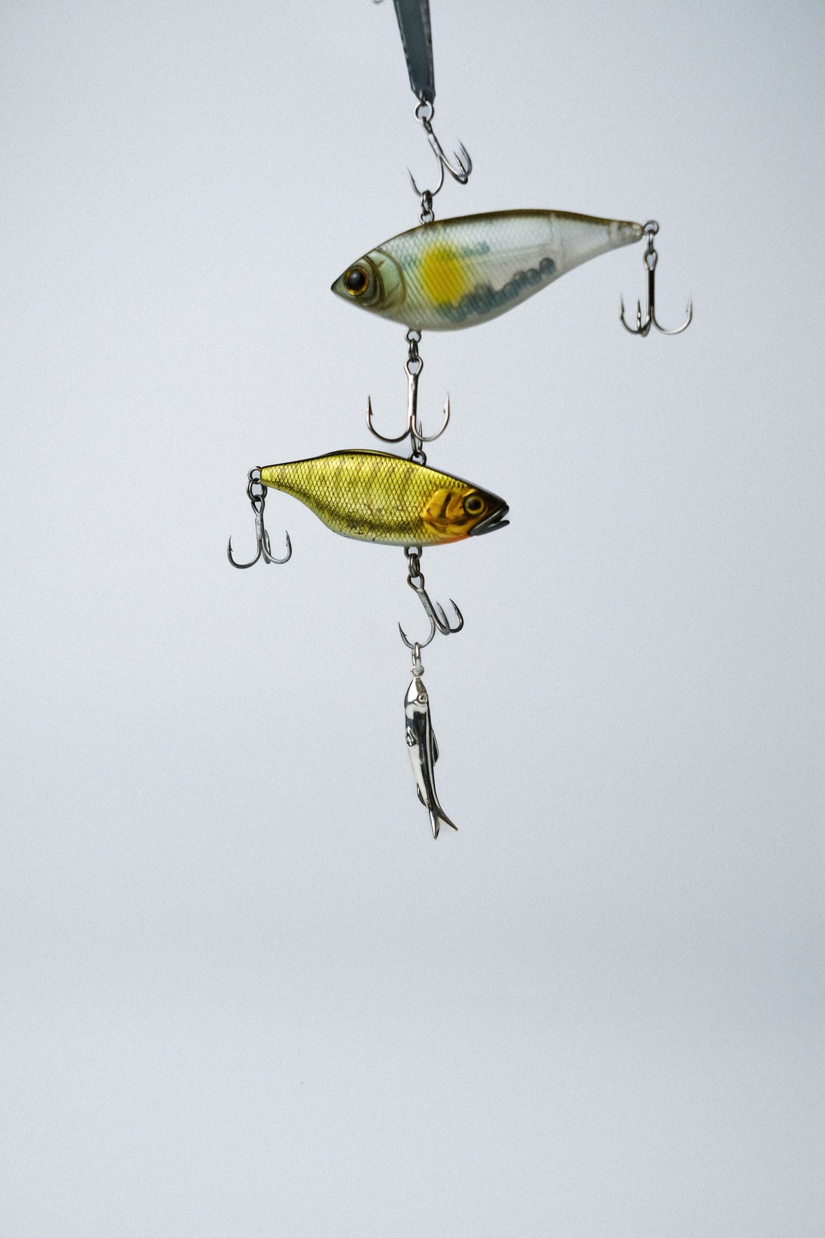 anchovy-pendant-JELLYFISH