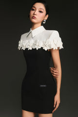 WHITE SHIRT COLLAR CAPE