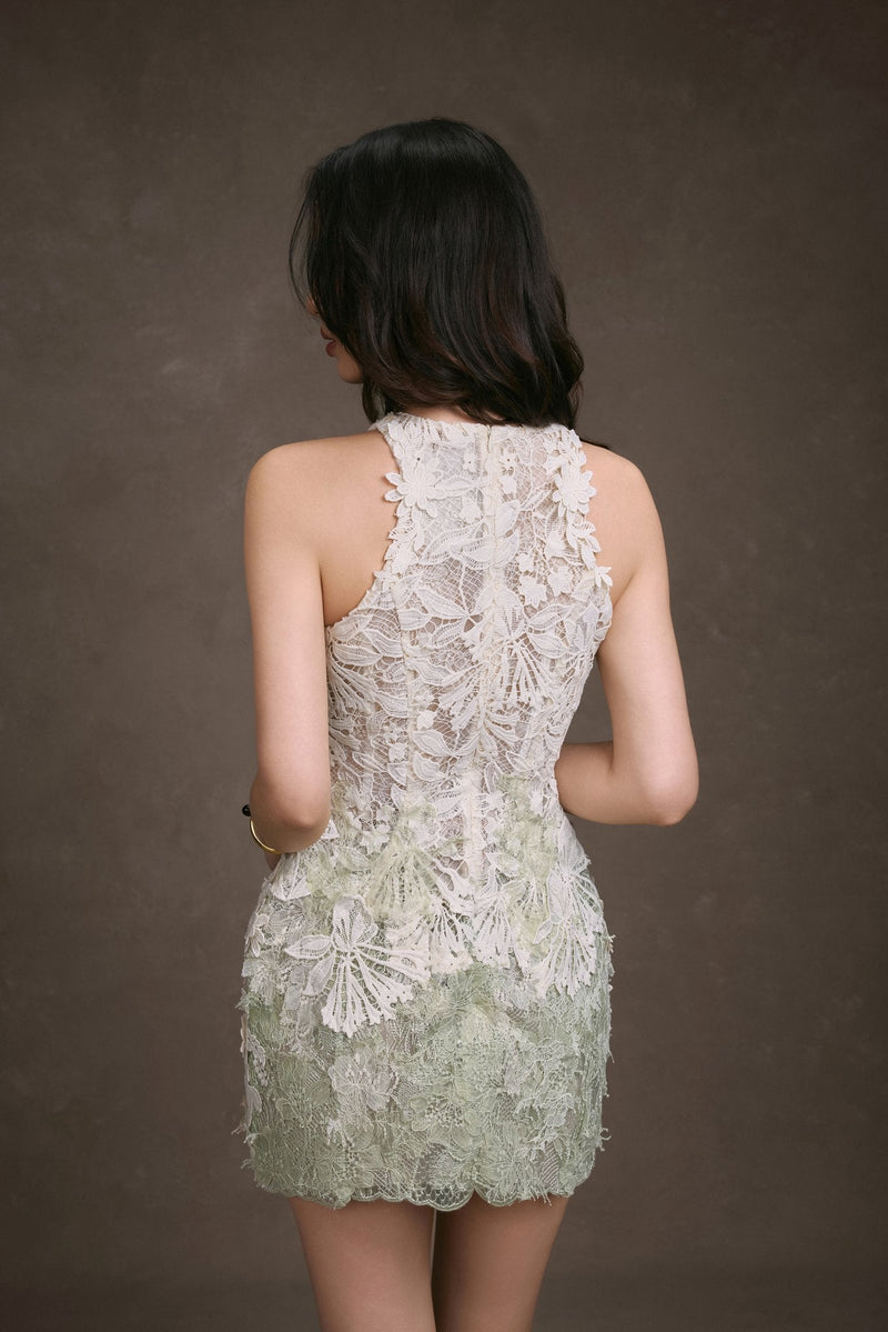 GARDENIA LACE DRESS