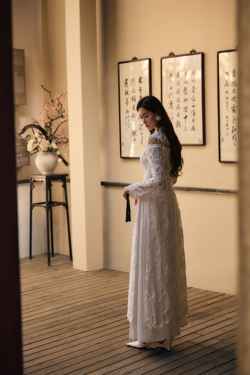 AO DAI DIEN VU