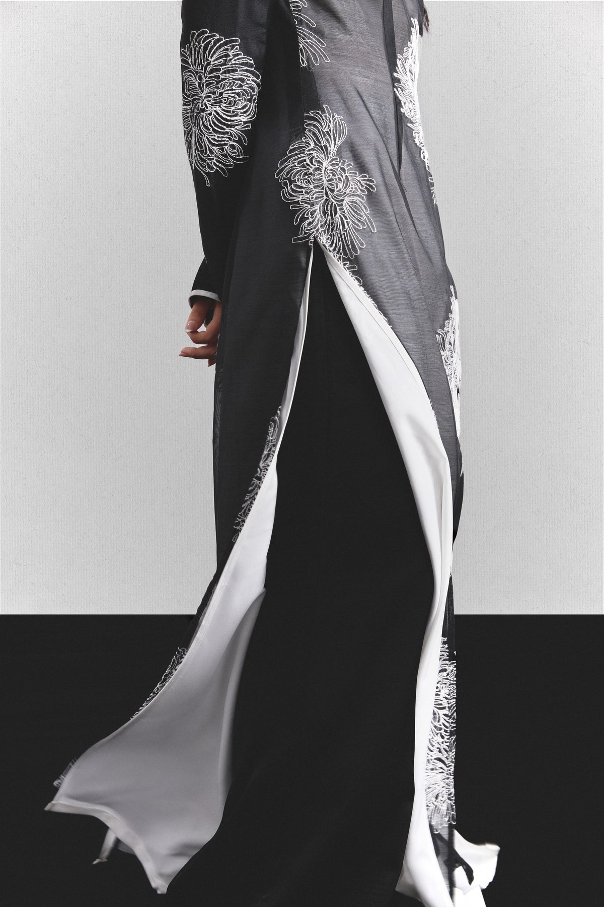 hoa-cuc-ao-dai thome astoud