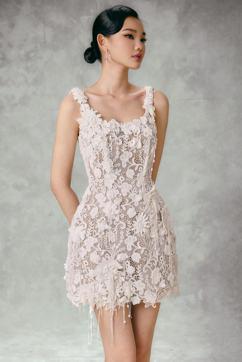 LACE DREAM MINI DRESS