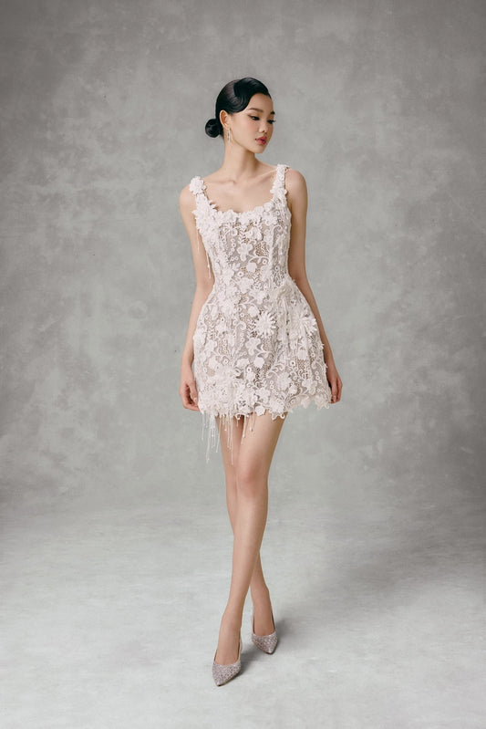 LACE DREAM MINI DRESS