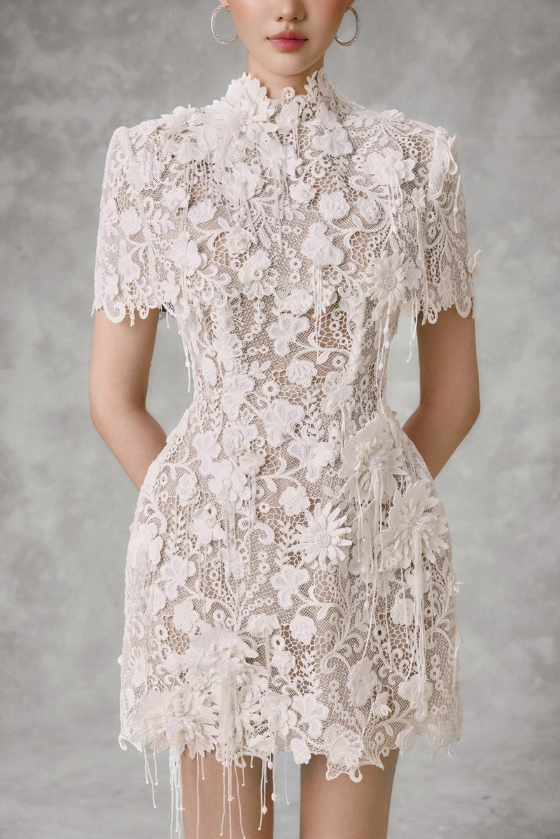 LACE DREAM MINI DRESS