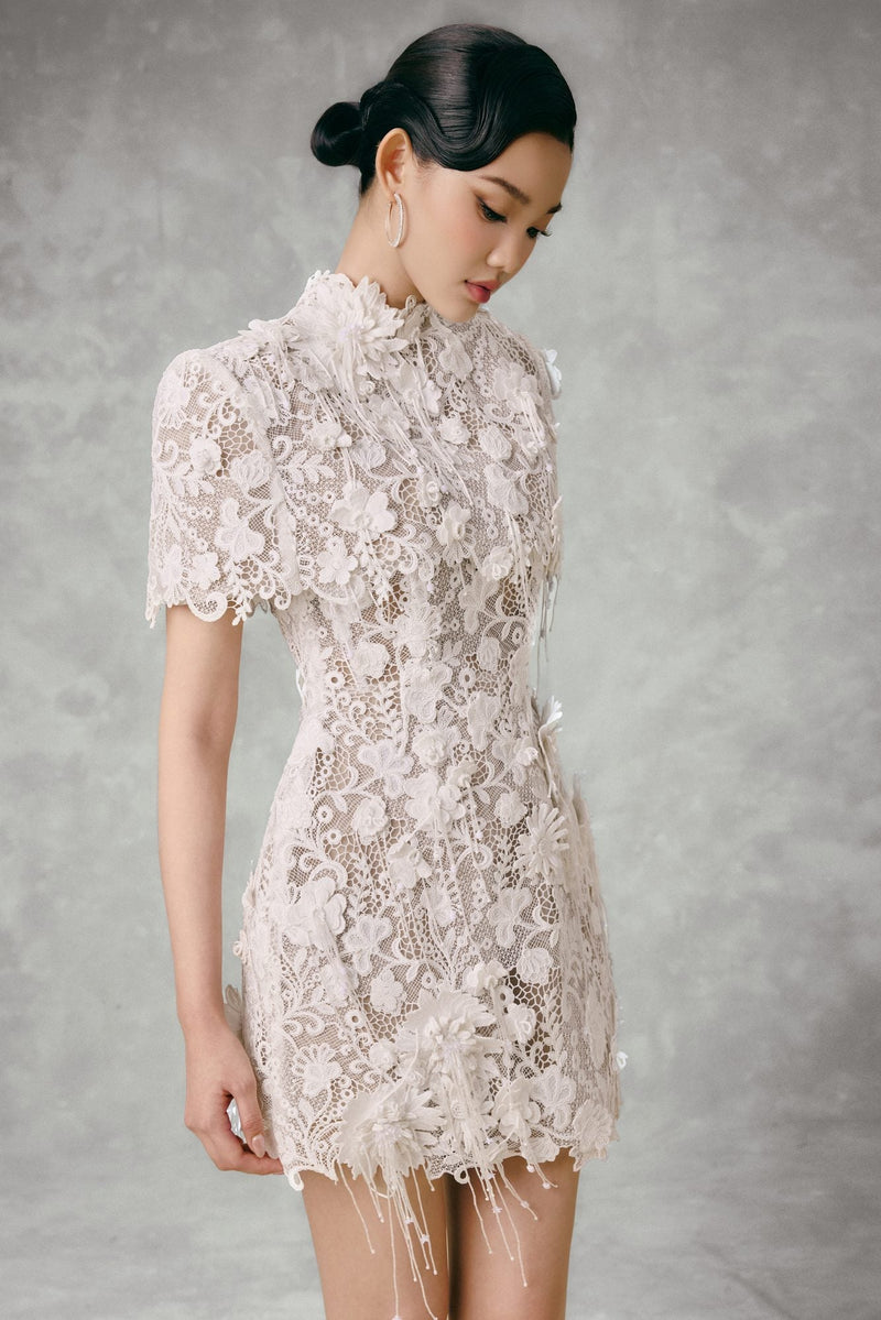 LACE DREAM MINI DRESS